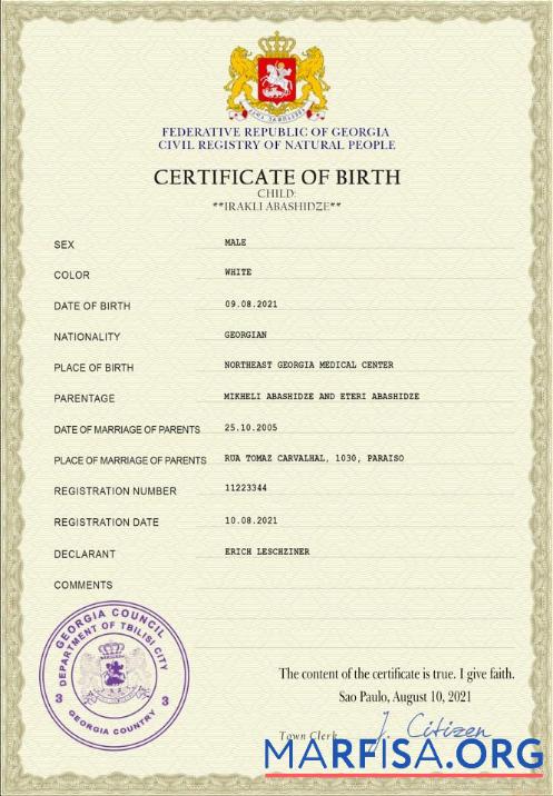 Blank Georgia vital record birth certificate download for verification